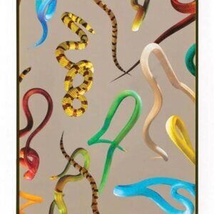 TOILETPAPER Magazine Snake Mirror